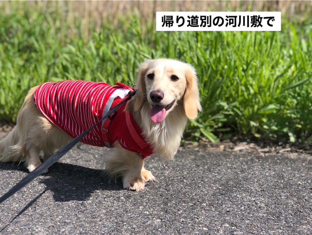 f:id:renkunno:20230426204210j:image f:id:renkunno:20230426204210j:image