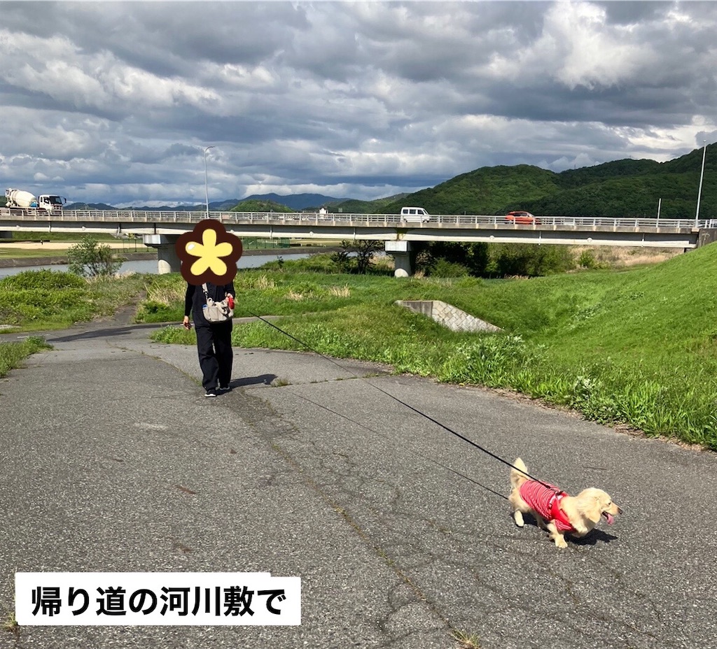 f:id:renkunno:20230427091749j:image f:id:renkunno:20230427091749j:image