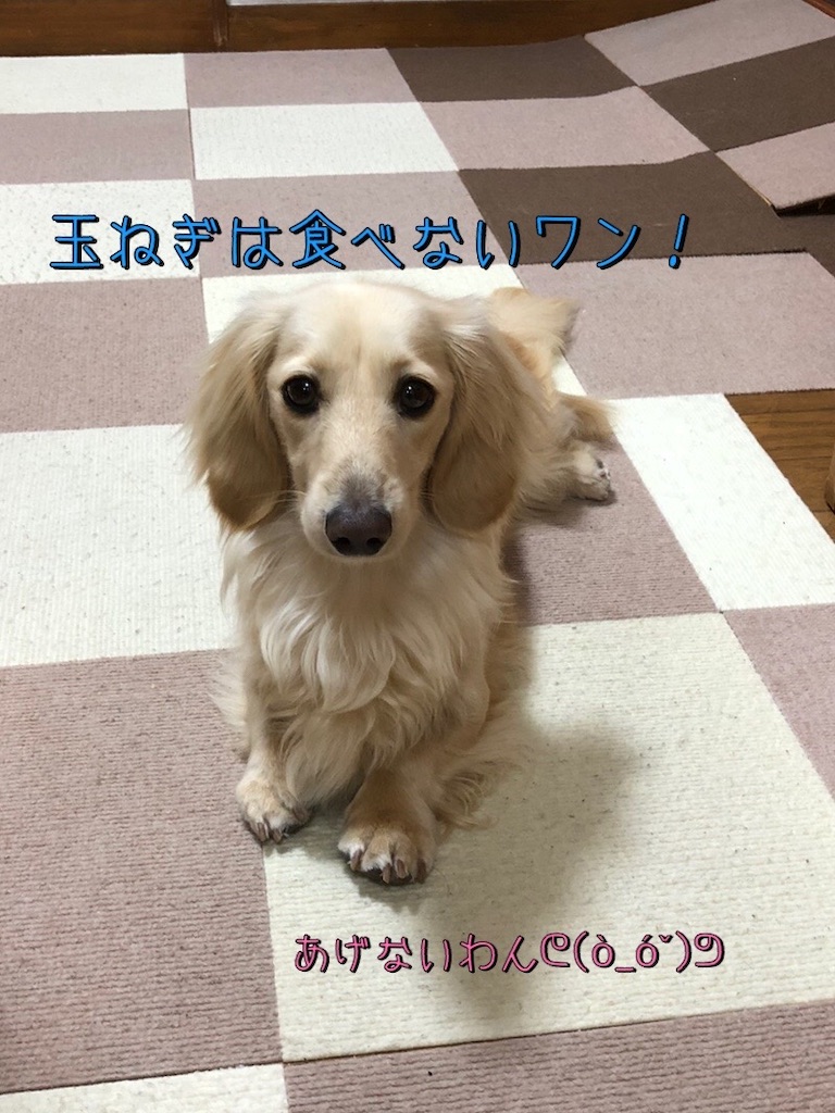 f:id:renkunno:20230502090511j:image