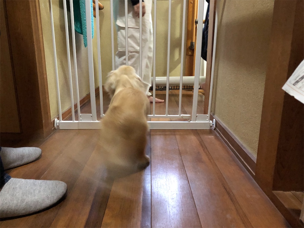 f:id:renkunno:20230504213648j:image f:id:renkunno:20230504213648j:image