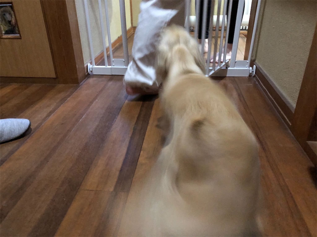 f:id:renkunno:20230504213651j:image f:id:renkunno:20230504213651j:image