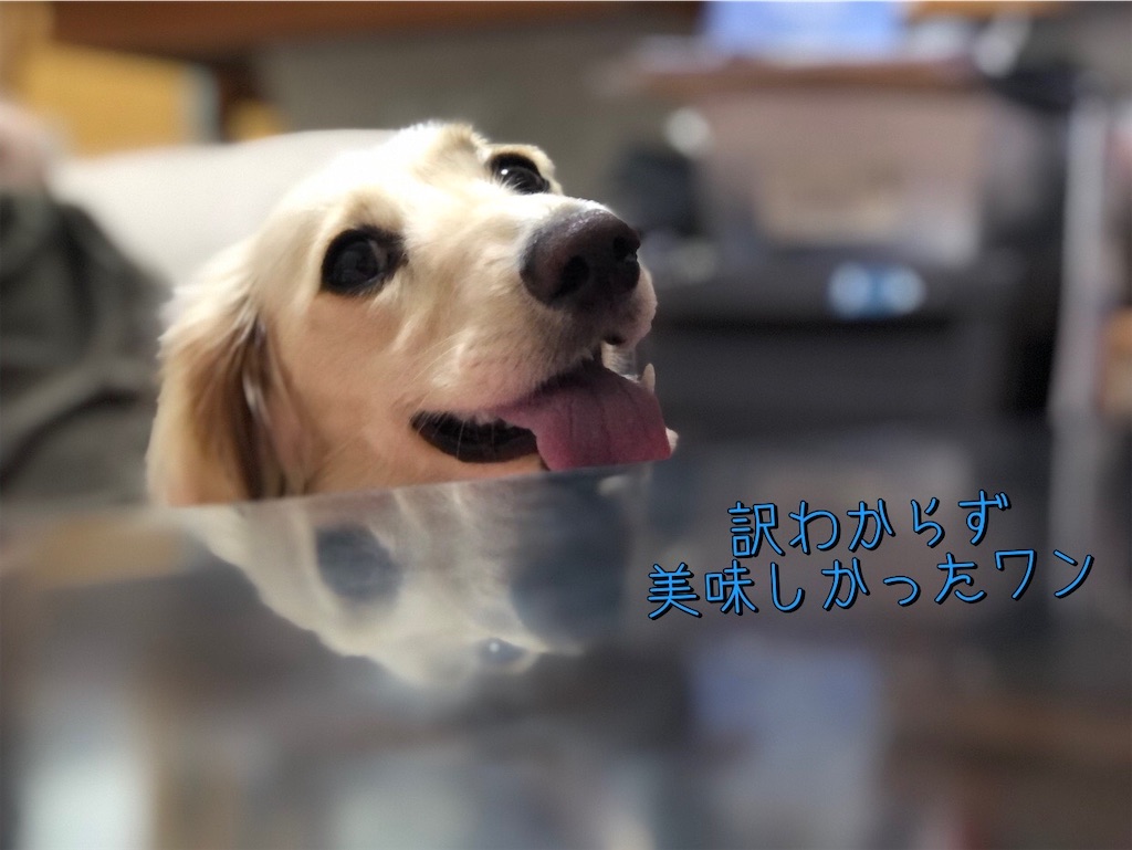 f:id:renkunno:20230504214809j:image f:id:renkunno:20230504214809j:image