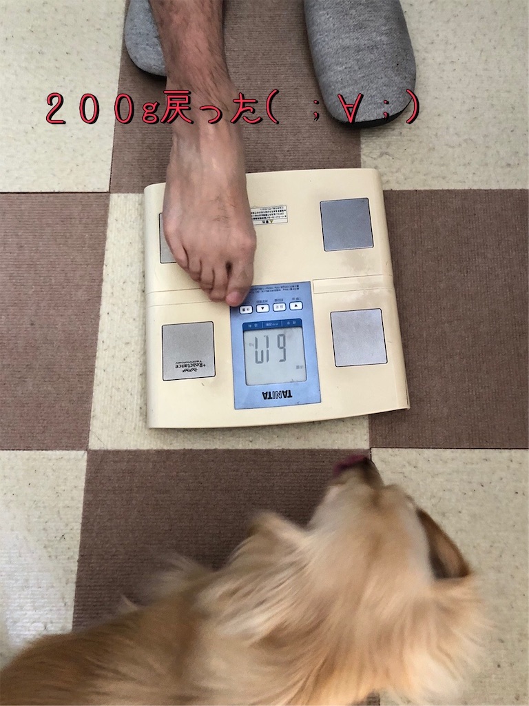 f:id:renkunno:20230510161747j:image