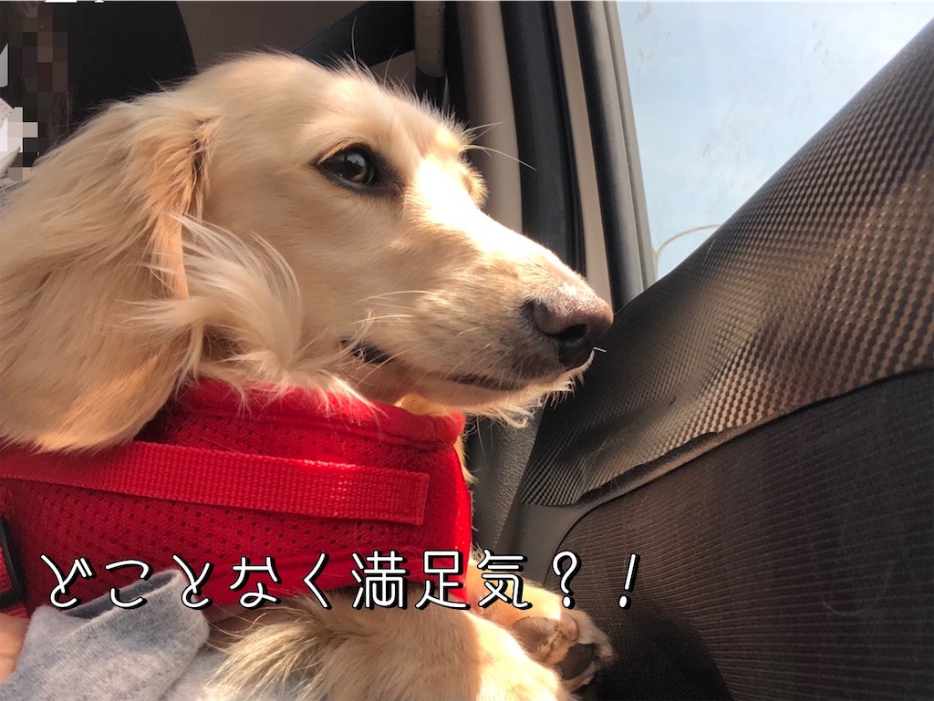 f:id:renkunno:20230510164719j:image