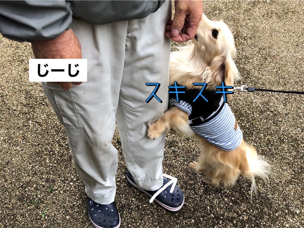 f:id:renkunno:20230515090842j:image