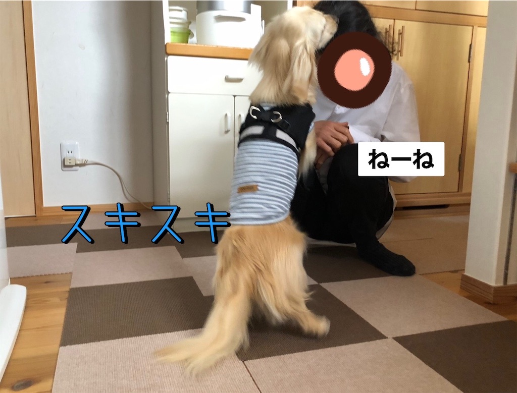 f:id:renkunno:20230515090845j:image