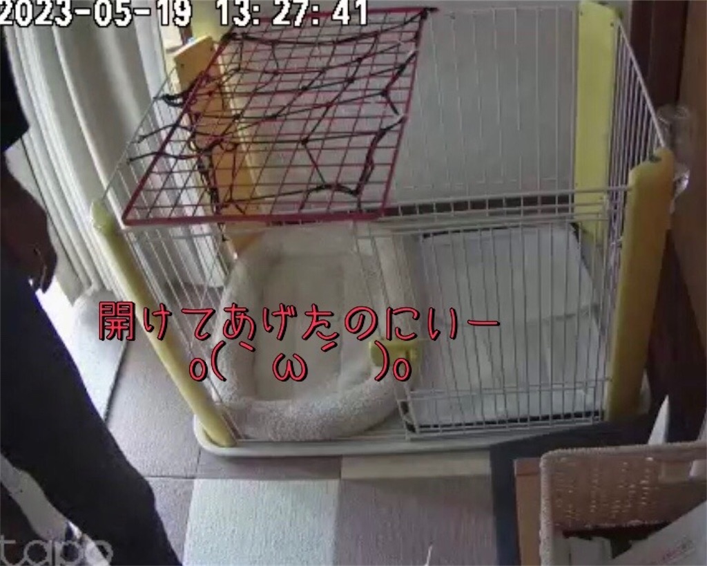 f:id:renkunno:20230519151220j:image f:id:renkunno:20230519151220j:image