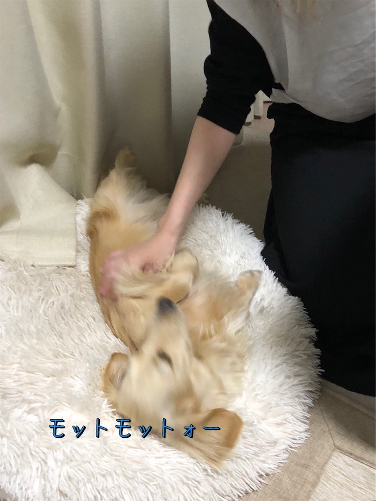 f:id:renkunno:20230526103012j:image f:id:renkunno:20230526103012j:image