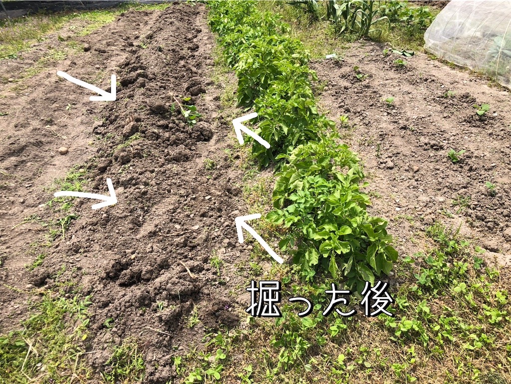 f:id:renkunno:20230527212935j:image f:id:renkunno:20230527212935j:image