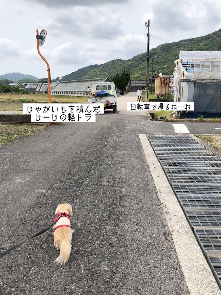 f:id:renkunno:20230527212942j:image f:id:renkunno:20230527212942j:image