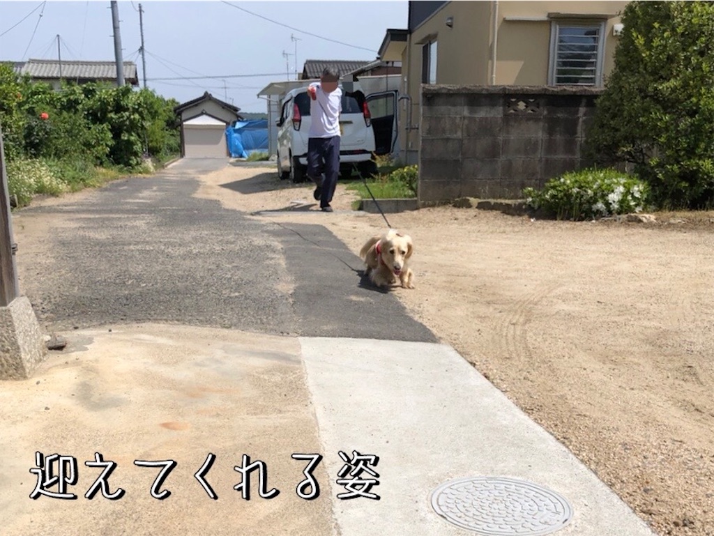 f:id:renkunno:20230528103512j:image f:id:renkunno:20230528103512j:image