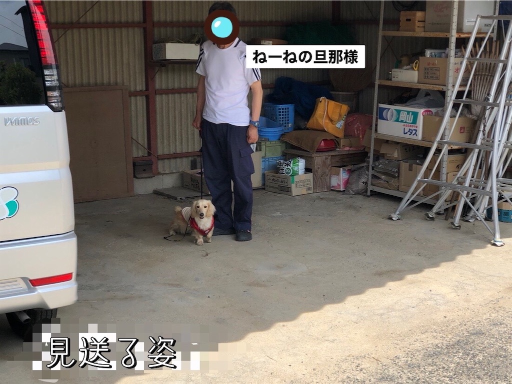 f:id:renkunno:20230528103516j:image f:id:renkunno:20230528103516j:image