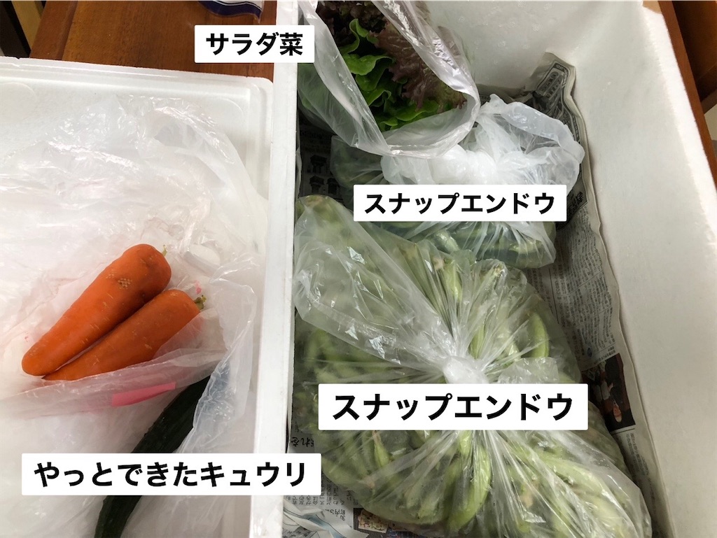 f:id:renkunno:20230528130806j:image f:id:renkunno:20230528130806j:image