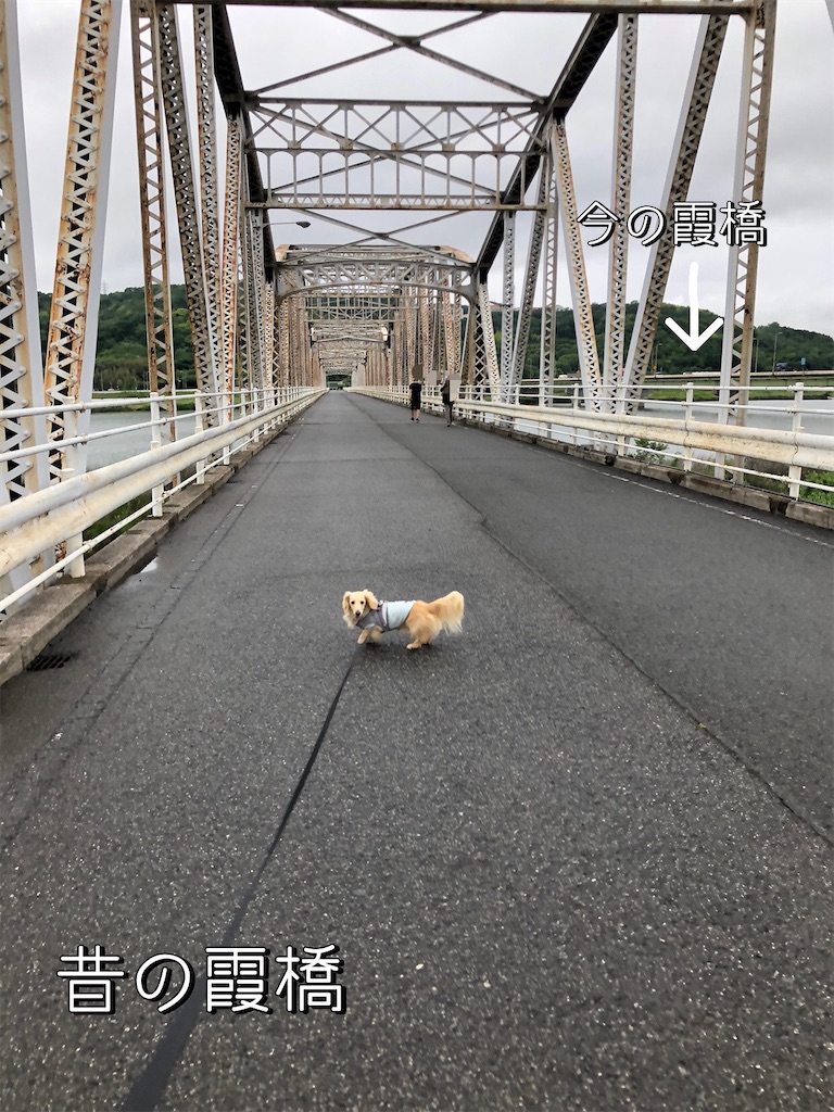 f:id:renkunno:20230530133338j:image f:id:renkunno:20230530133338j:image
