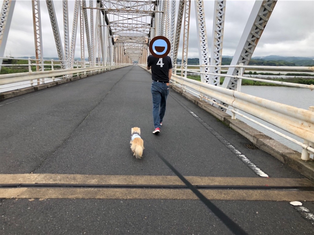 f:id:renkunno:20230530134121j:image f:id:renkunno:20230530134121j:image