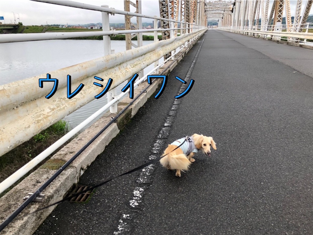 f:id:renkunno:20230530134125j:image f:id:renkunno:20230530134125j:image