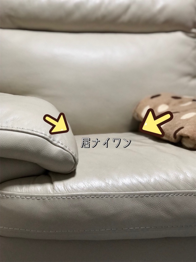 f:id:renkunno:20230530225004j:image f:id:renkunno:20230530225004j:image
