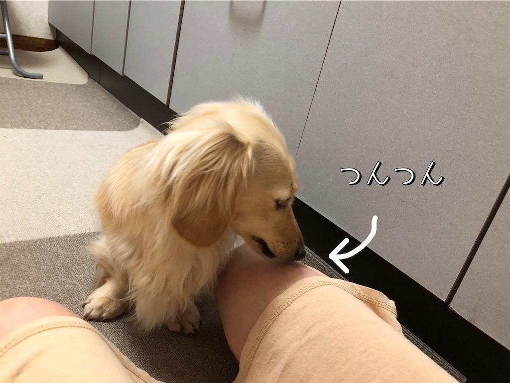 f:id:renkunno:20230606085452j:image f:id:renkunno:20230606085452j:image