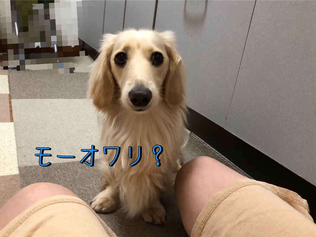 f:id:renkunno:20230606085529j:image f:id:renkunno:20230606085529j:image