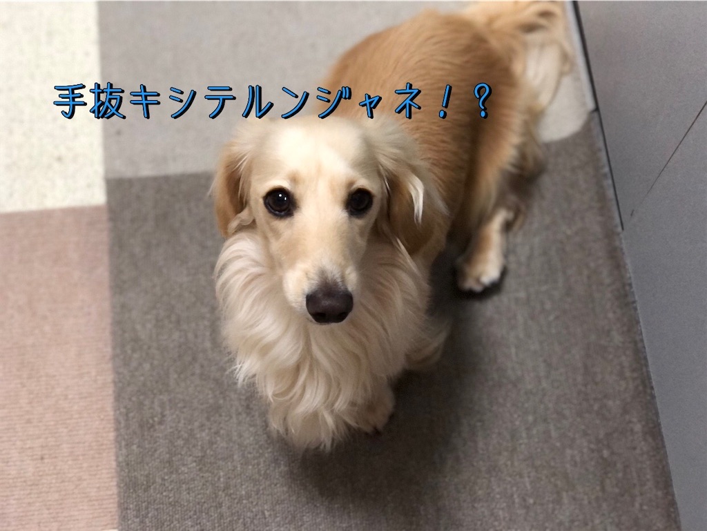 f:id:renkunno:20230606085538j:image f:id:renkunno:20230606085538j:image