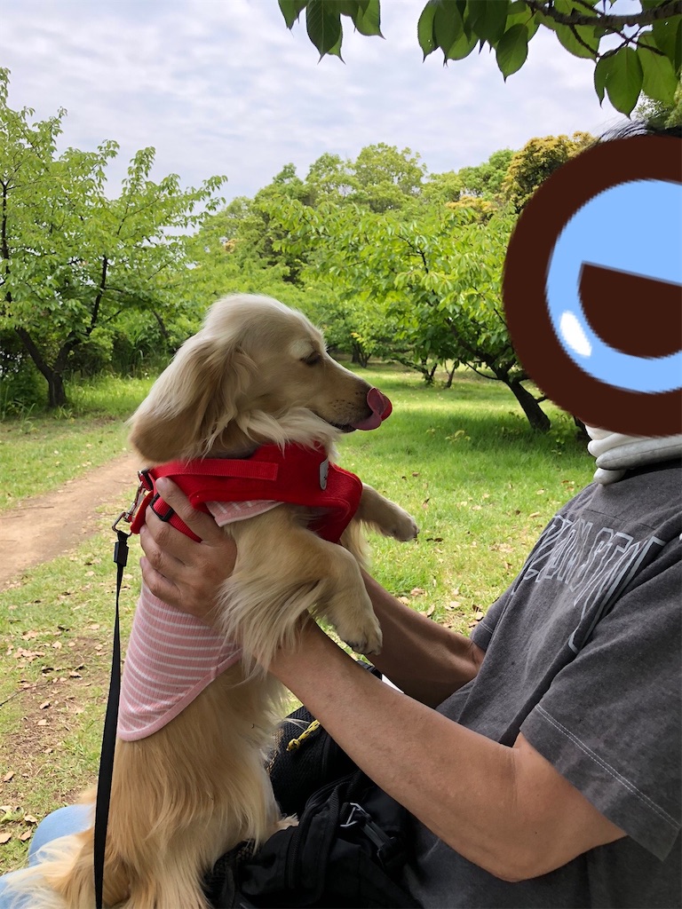 f:id:renkunno:20230606140306j:image f:id:renkunno:20230606140306j:image