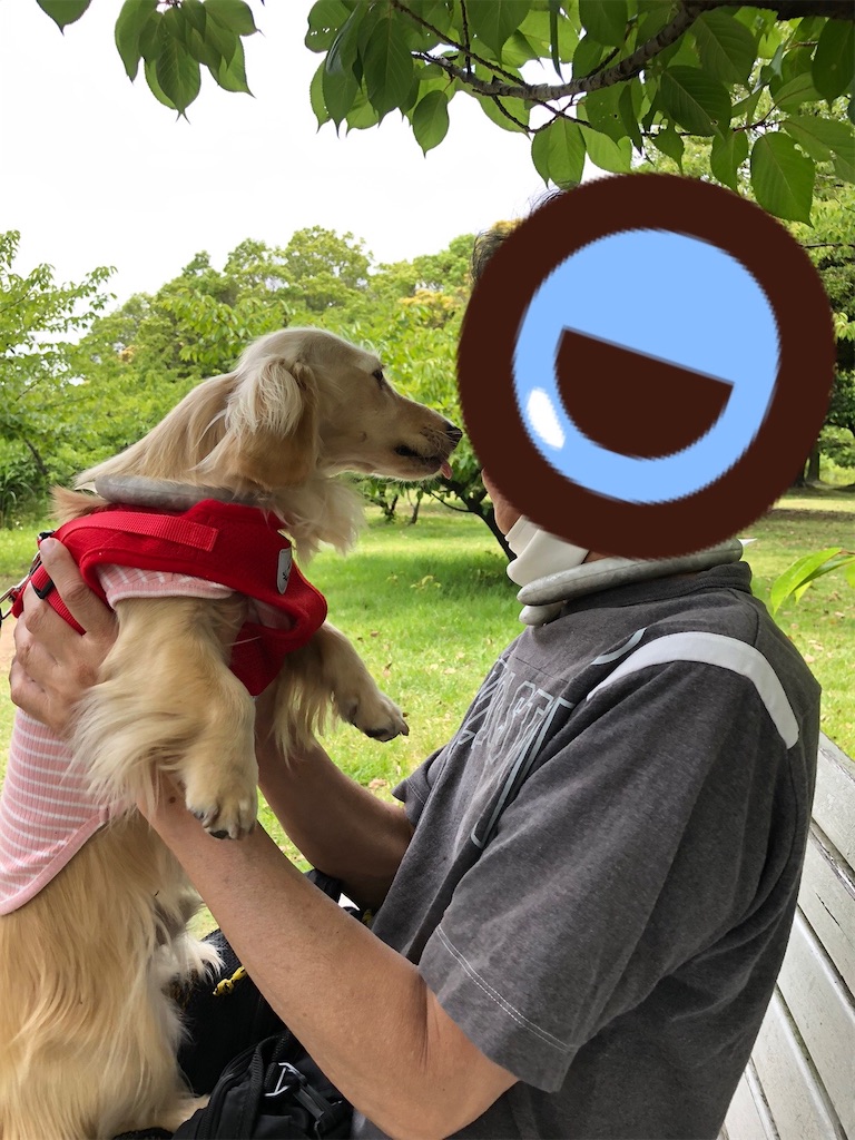 f:id:renkunno:20230606140313j:image f:id:renkunno:20230606140313j:image