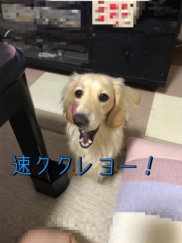 f:id:renkunno:20230609231549j:image f:id:renkunno:20230609231549j:image