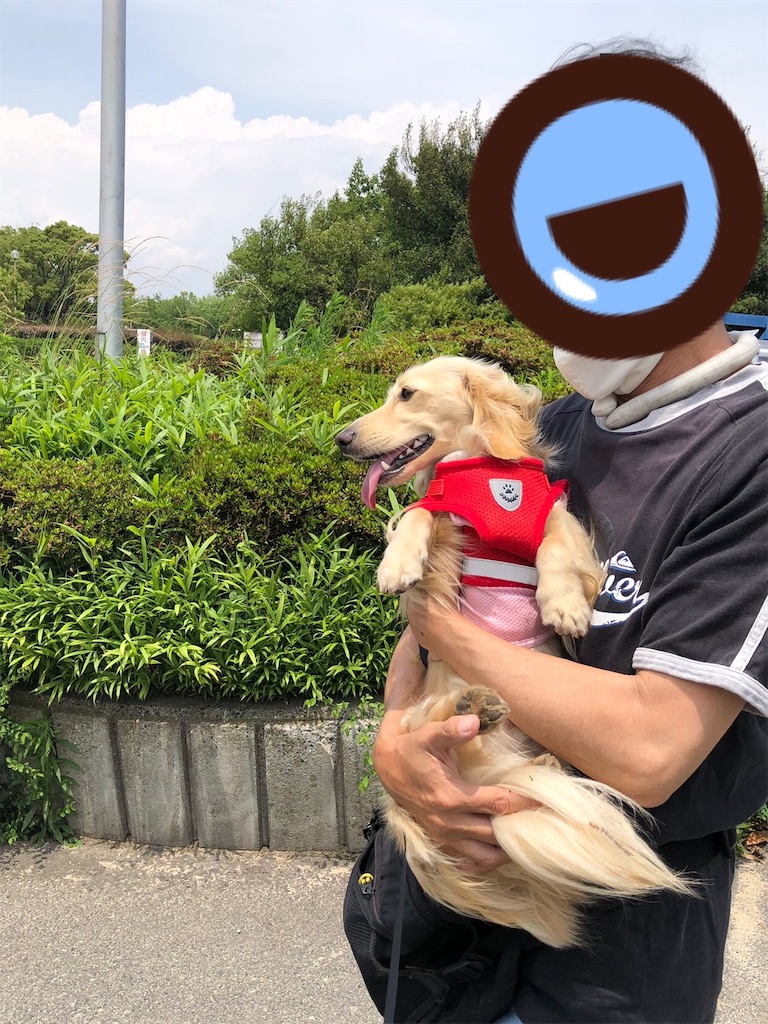f:id:renkunno:20230613162832j:image f:id:renkunno:20230613162832j:image