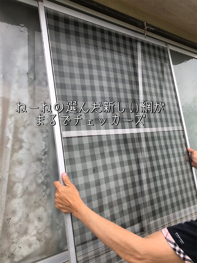 f:id:renkunno:20230618184653j:image f:id:renkunno:20230618184653j:image