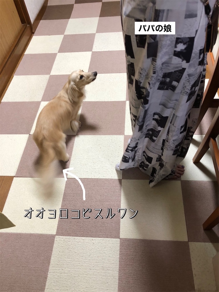 f:id:renkunno:20230618221426j:image f:id:renkunno:20230618221426j:image