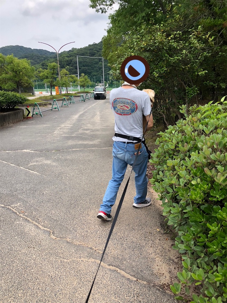 f:id:renkunno:20230625161235j:image