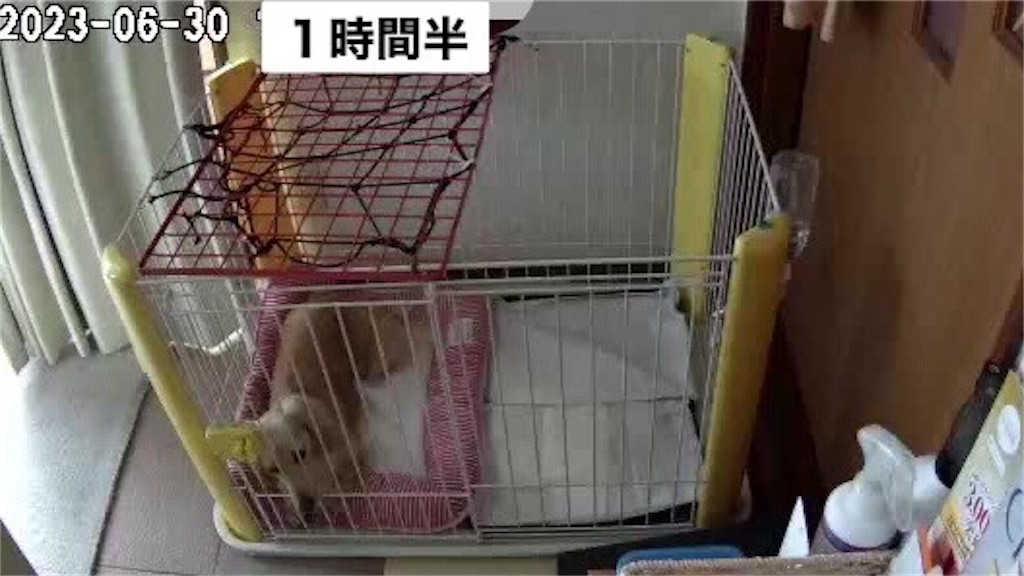f:id:renkunno:20230630170039j:image f:id:renkunno:20230630170039j:image