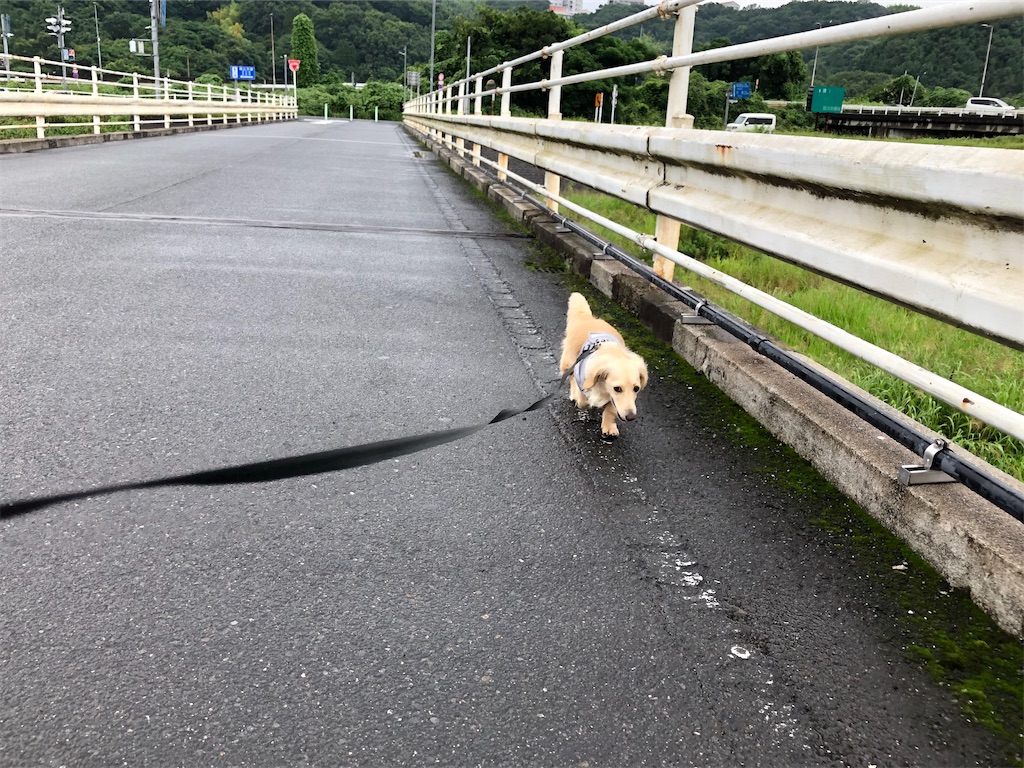 f:id:renkunno:20230701142810j:image f:id:renkunno:20230701142810j:image