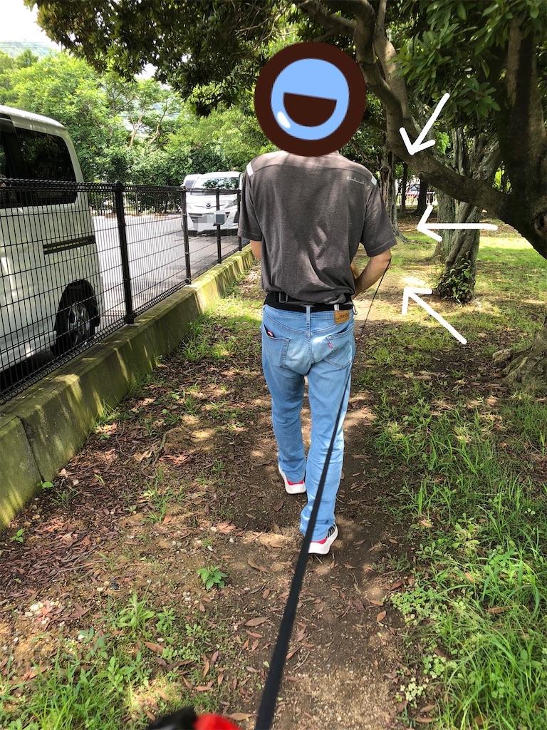 f:id:renkunno:20230702152248j:image f:id:renkunno:20230702152248j:image