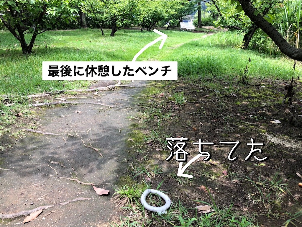 f:id:renkunno:20230702160456j:image f:id:renkunno:20230702160456j:image