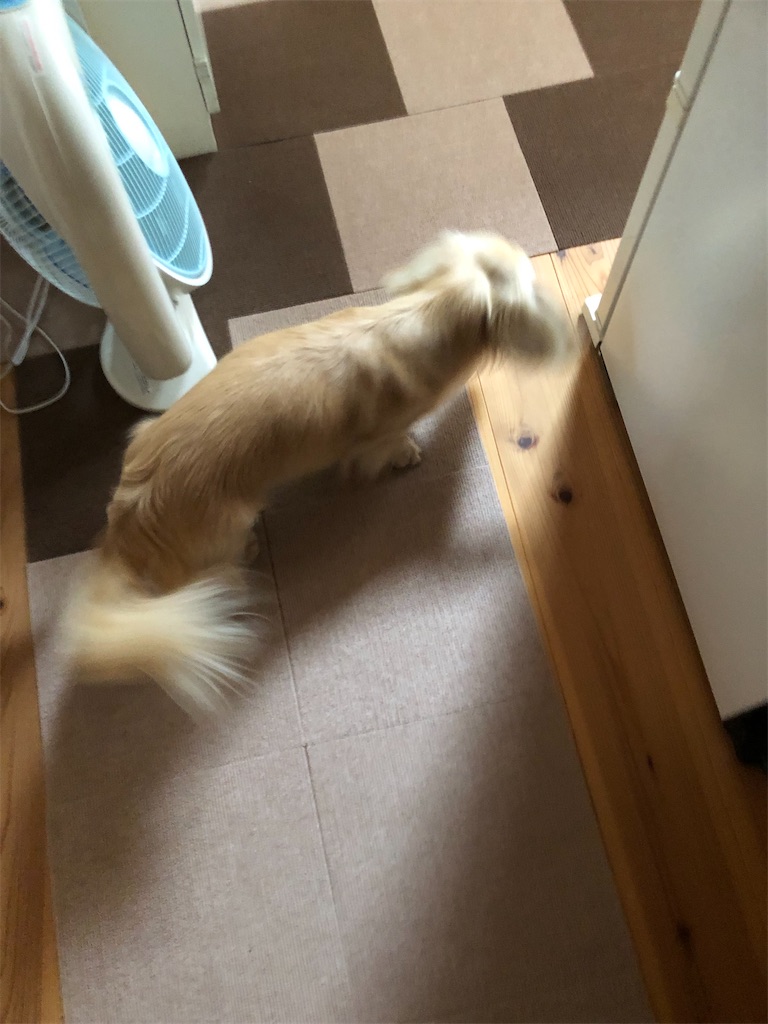 f:id:renkunno:20230709104527j:image