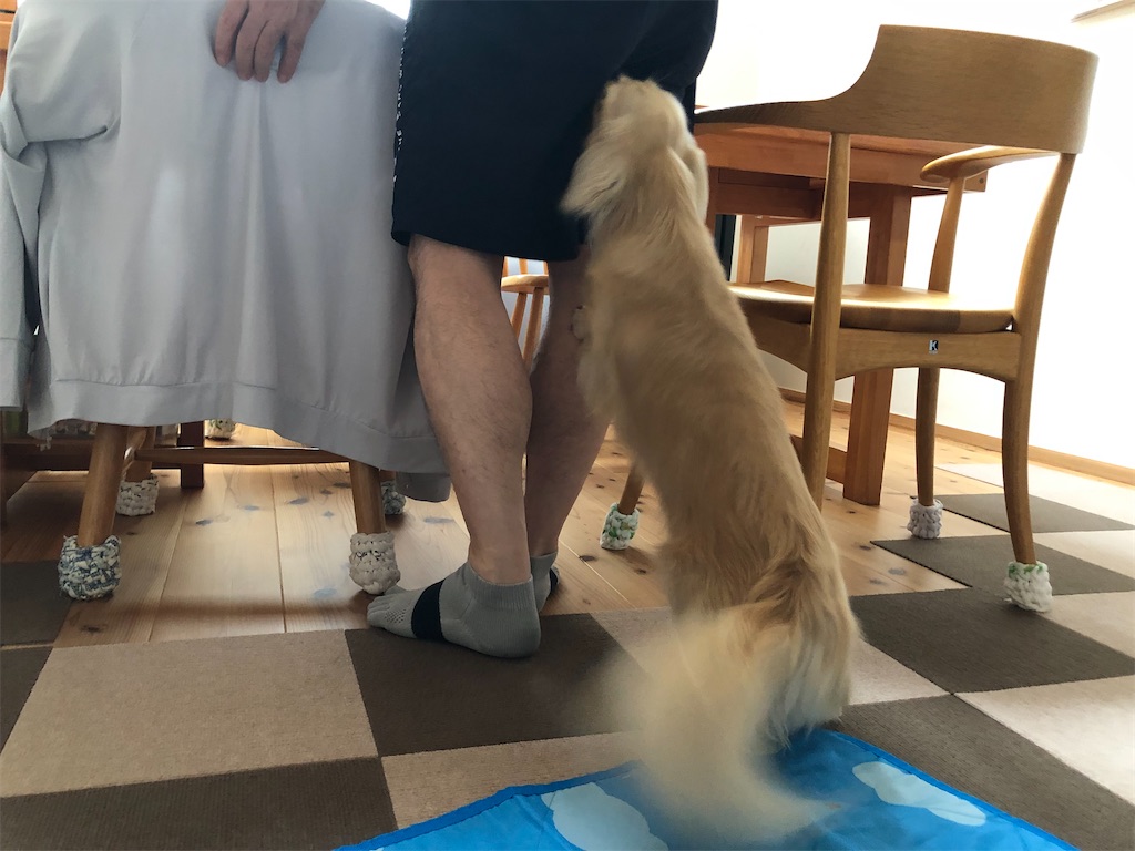 f:id:renkunno:20230709104611j:image