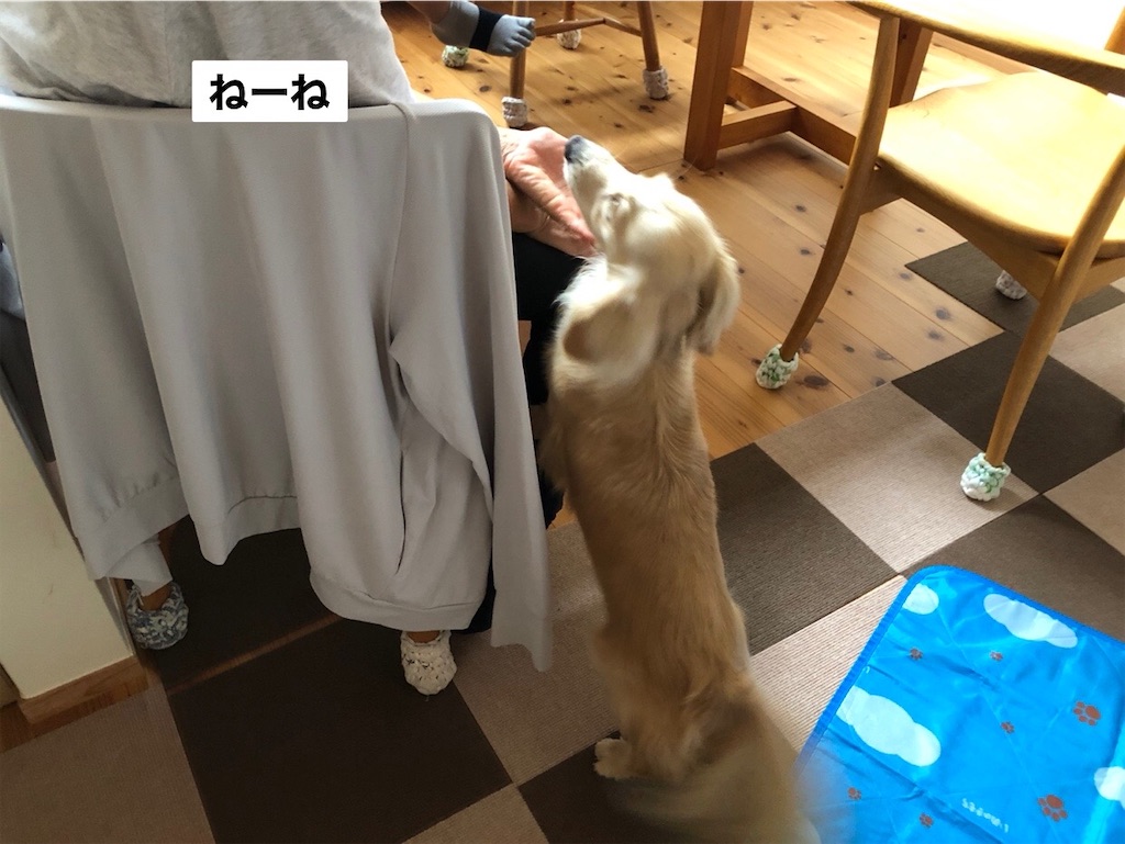 f:id:renkunno:20230709105245j:image