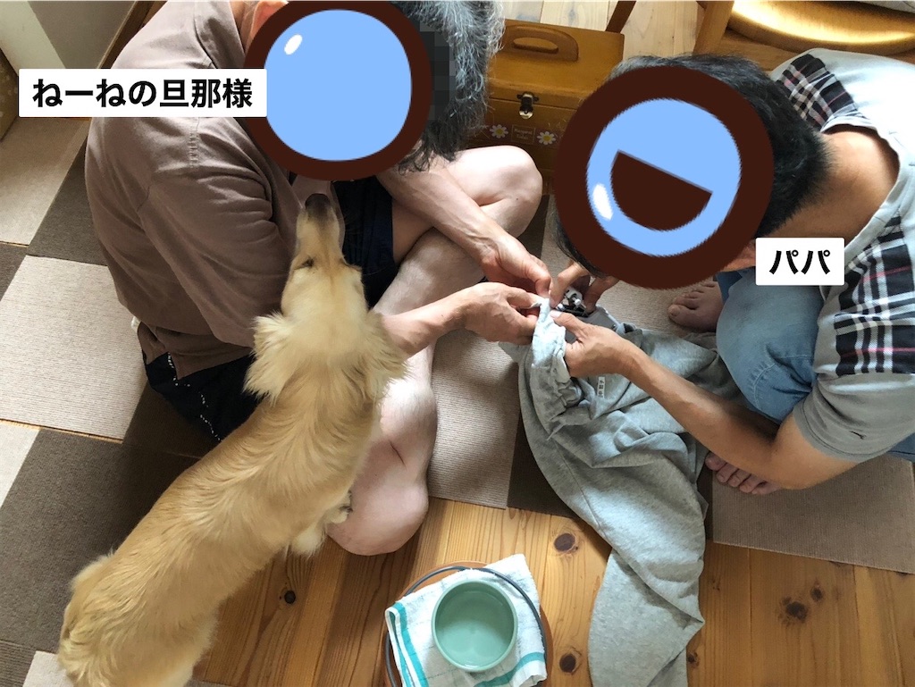 f:id:renkunno:20230709105249j:image