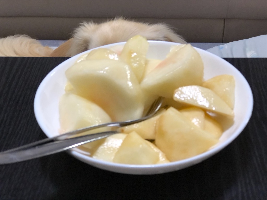 f:id:renkunno:20230709153722j:image f:id:renkunno:20230709153722j:image