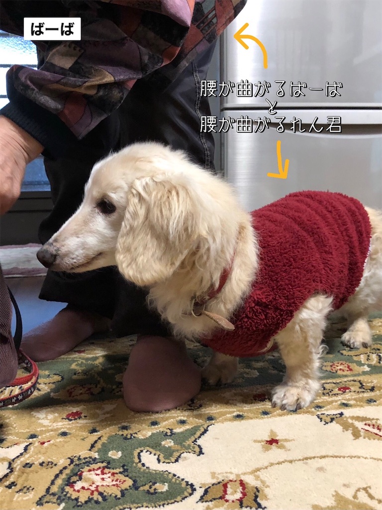 f:id:renkunno:20230716095009j:image