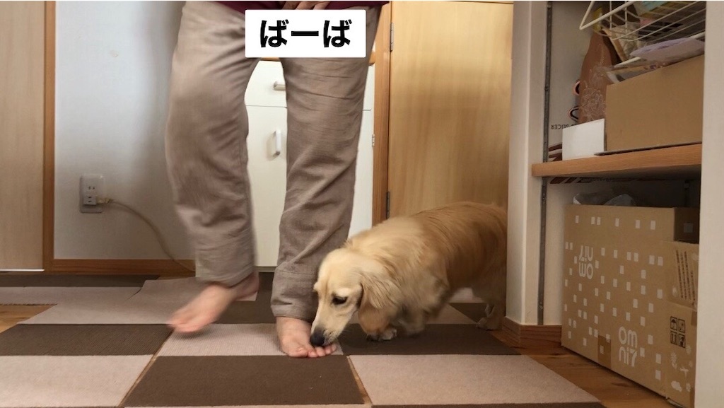 f:id:renkunno:20230716100126j:image