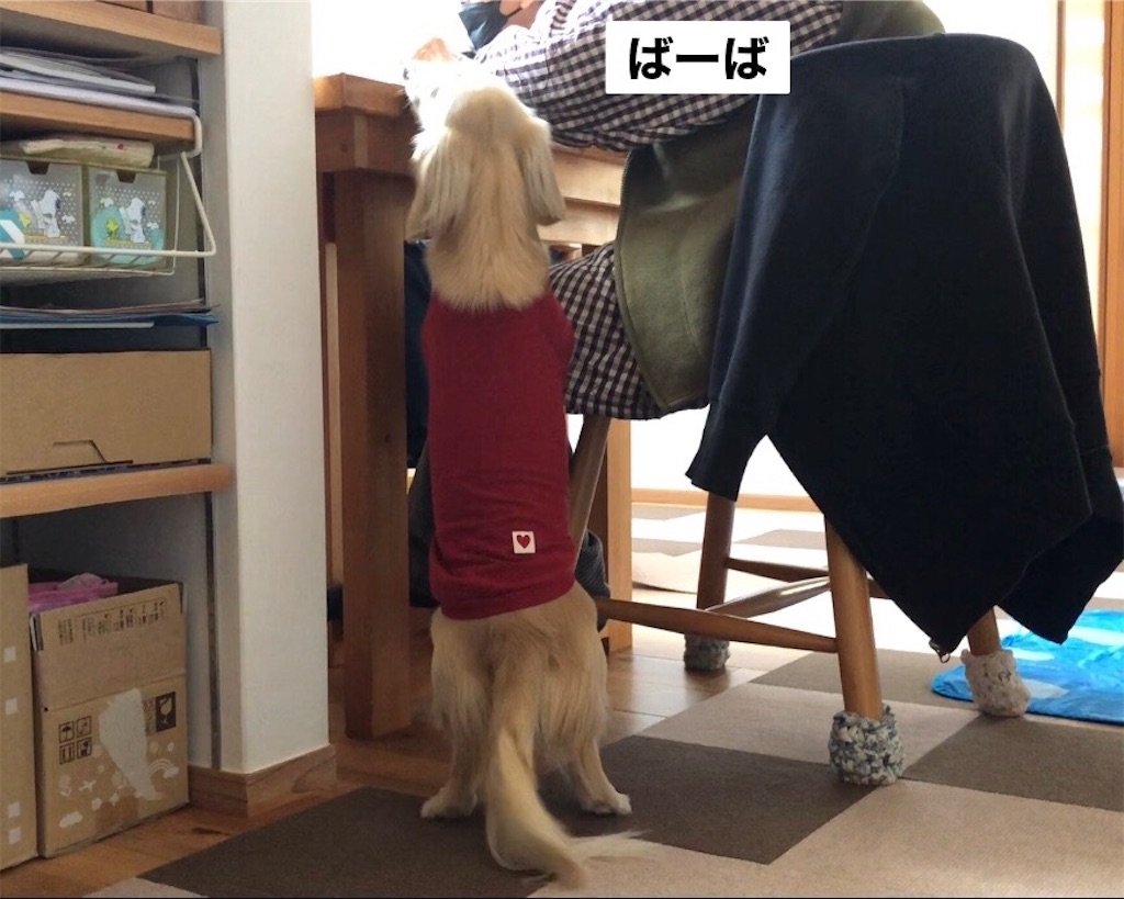 f:id:renkunno:20230716100130j:image