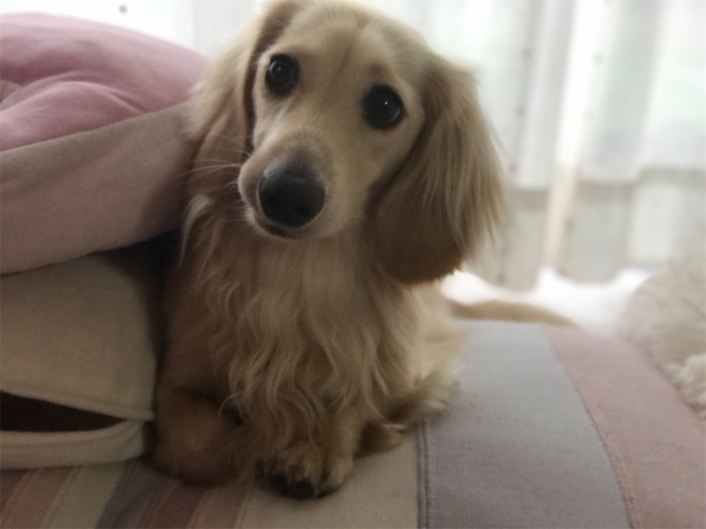 f:id:renkunno:20230724214359j:image