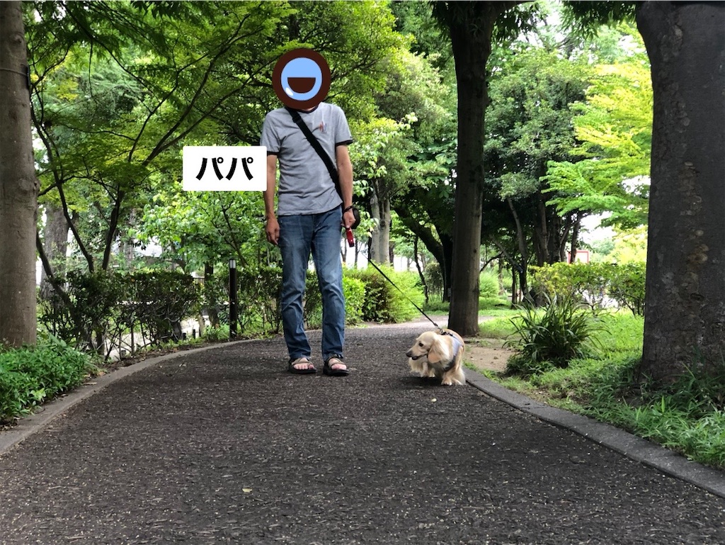 f:id:renkunno:20230725080732j:image