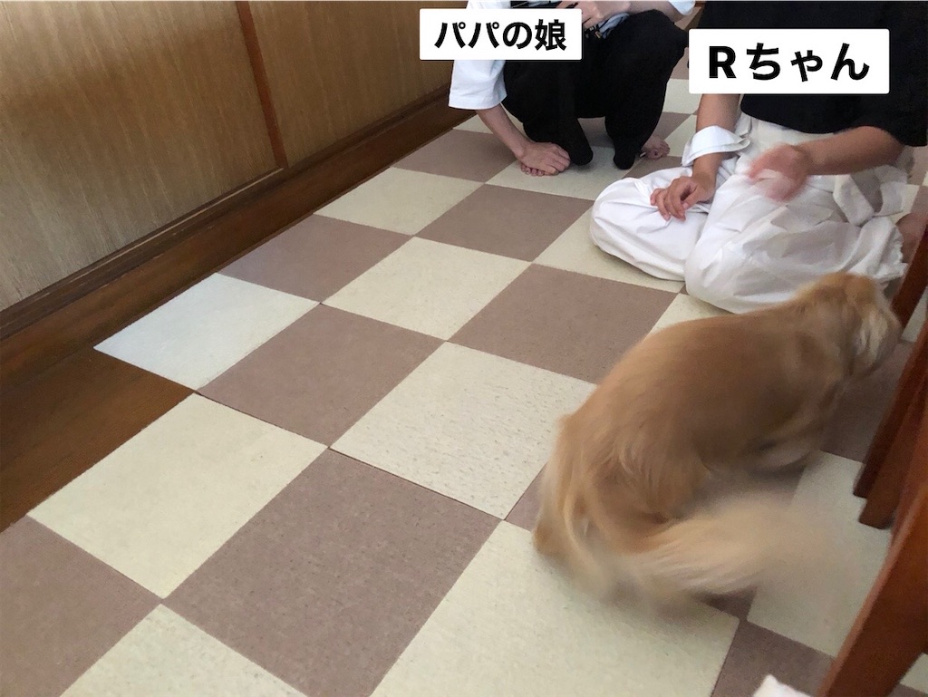 f:id:renkunno:20230725081755j:image