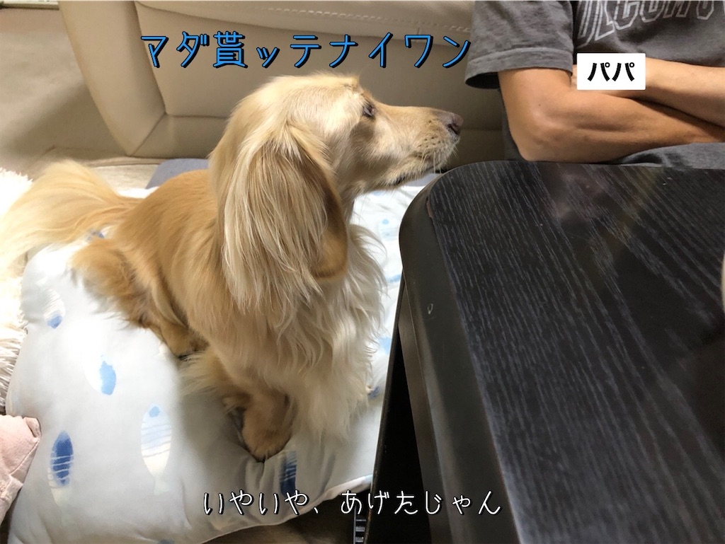 f:id:renkunno:20230725122316j:image
