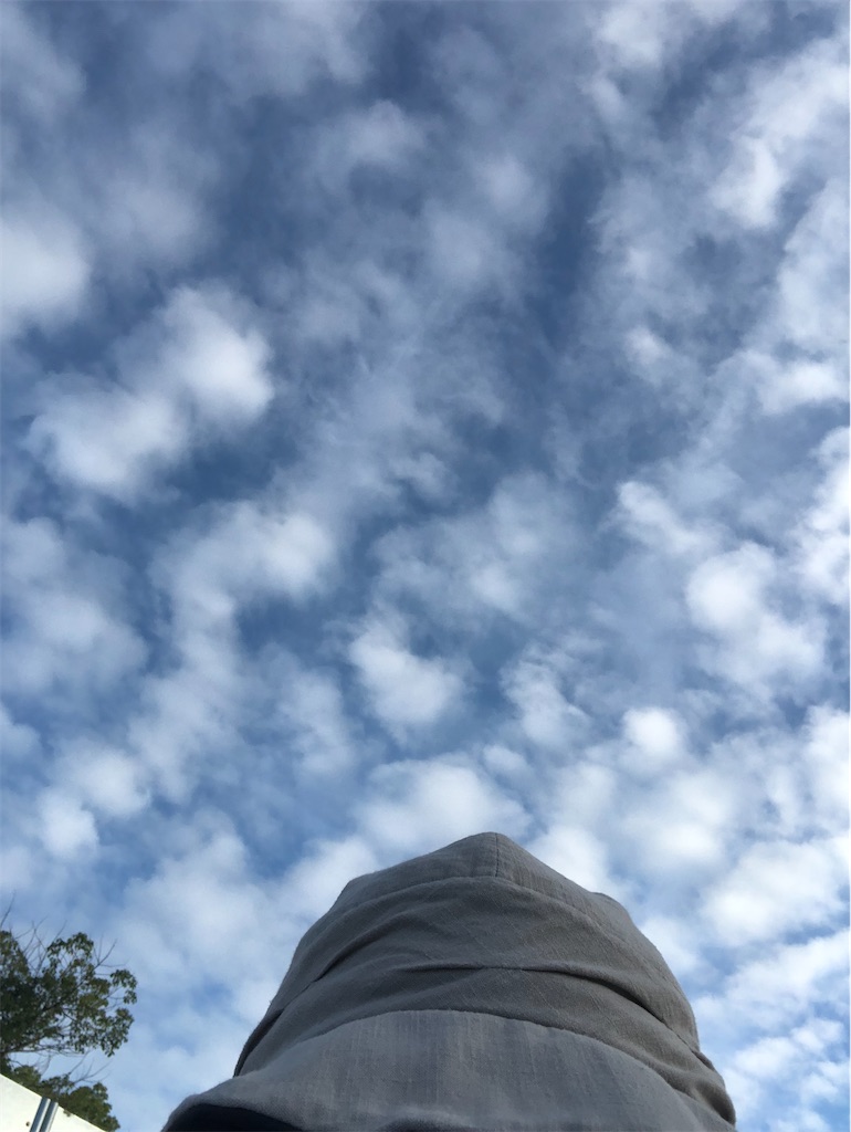 f:id:renkunno:20230803122636j:image f:id:renkunno:20230803122636j:image