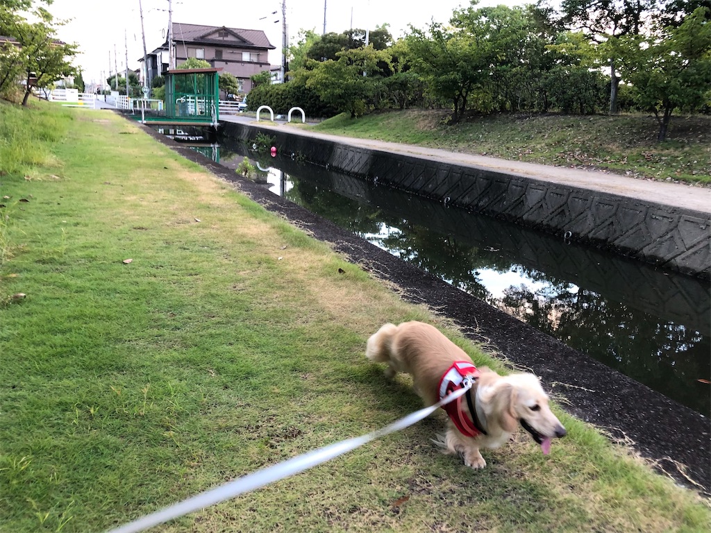 f:id:renkunno:20230806105142j:image