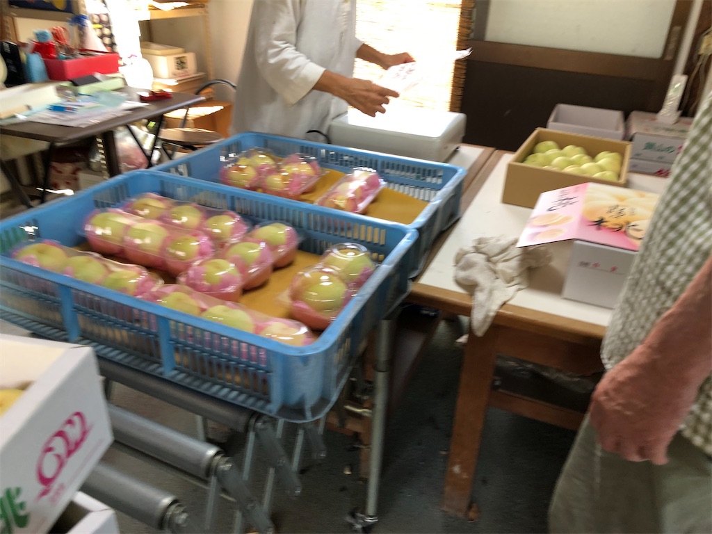 f:id:renkunno:20230811144813j:image
